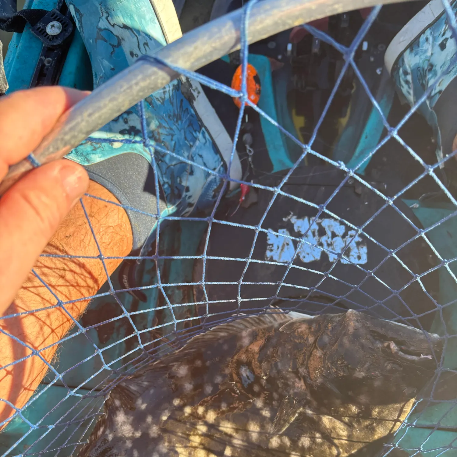 Summer flounder caught on Fishbrain