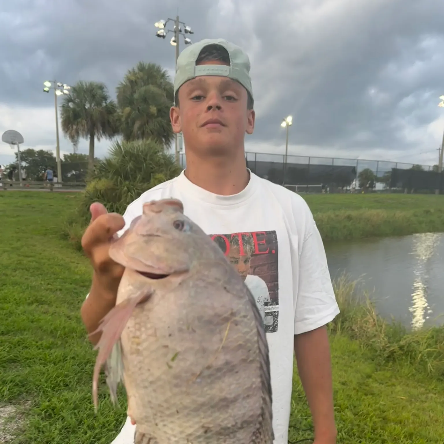 The most recent Nile tilapia catches on Fishbrain