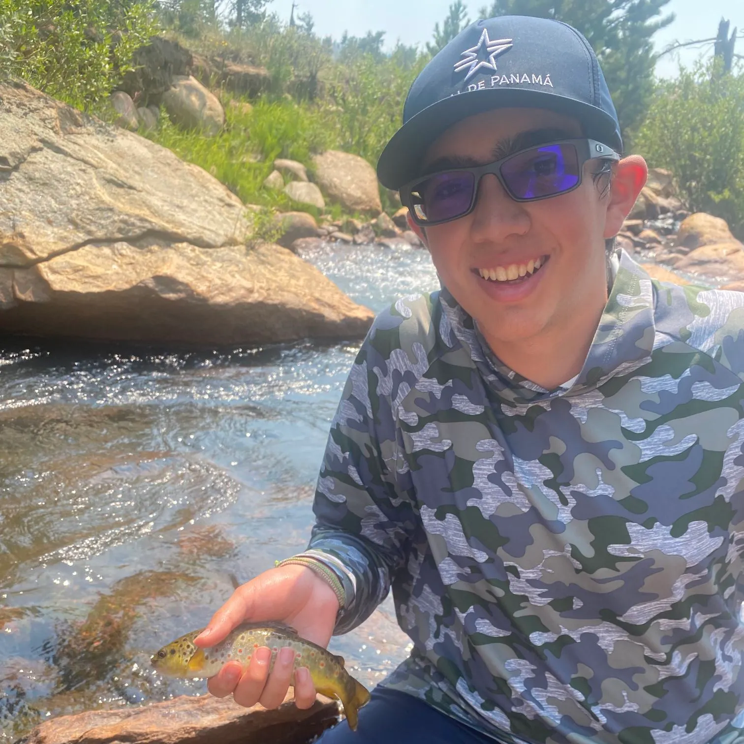 Brown trout caught on Fishbrain