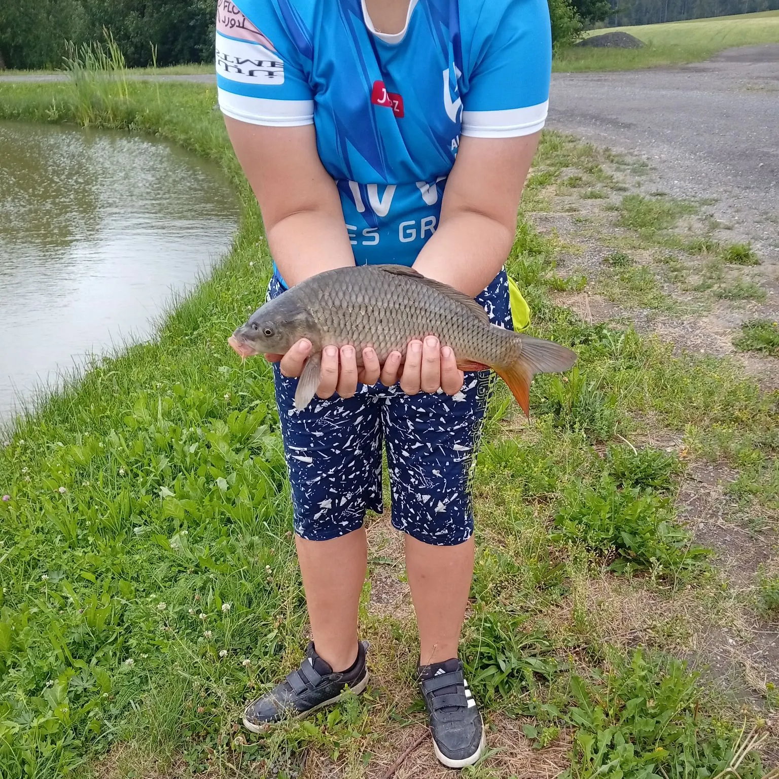 Common carp caught on Fishbrain