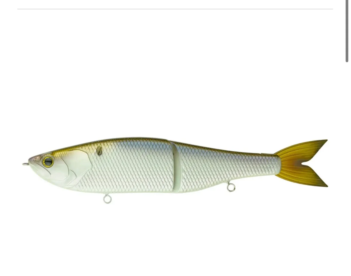 The Draw Glidebait