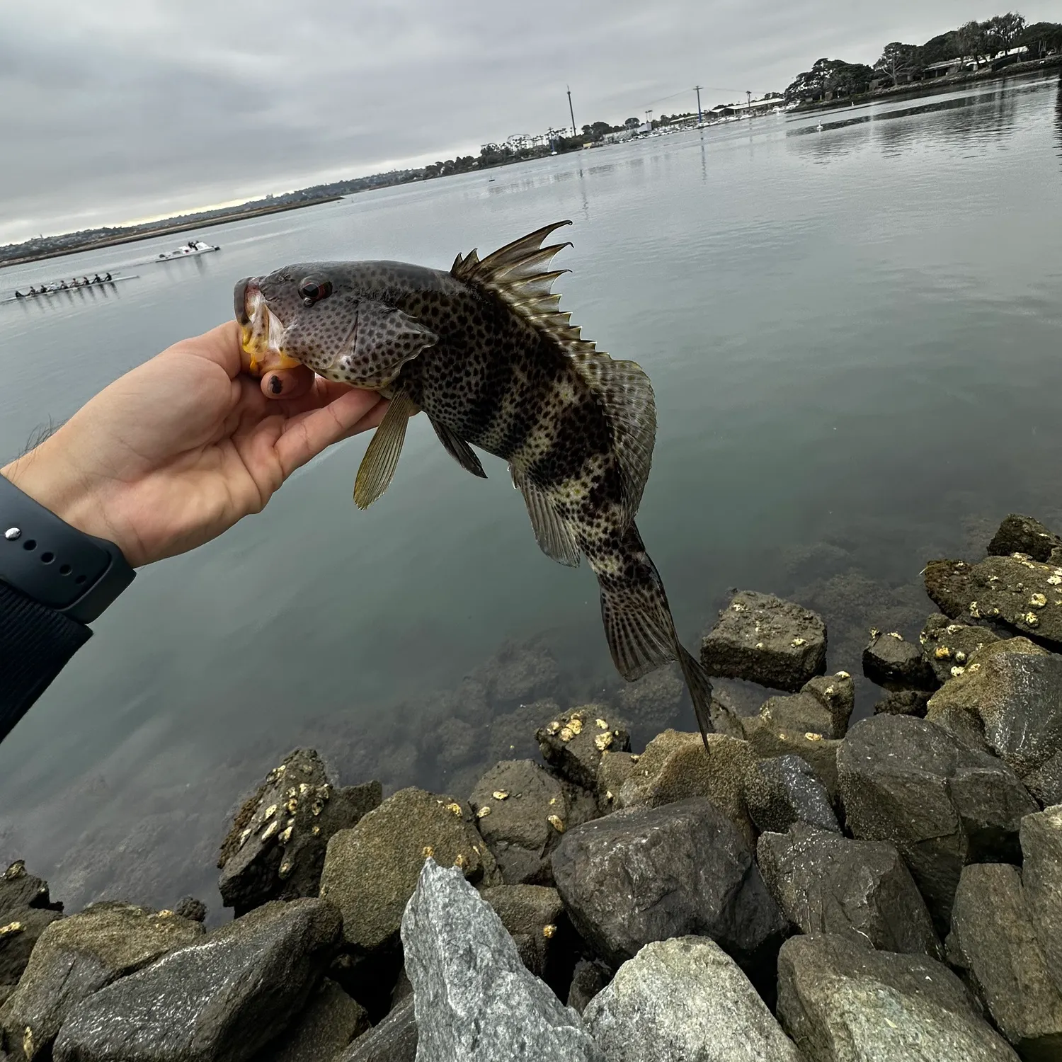 catch