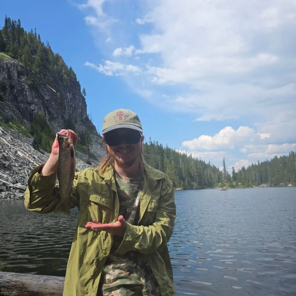 Cutthroat trout caught on Fishbrain