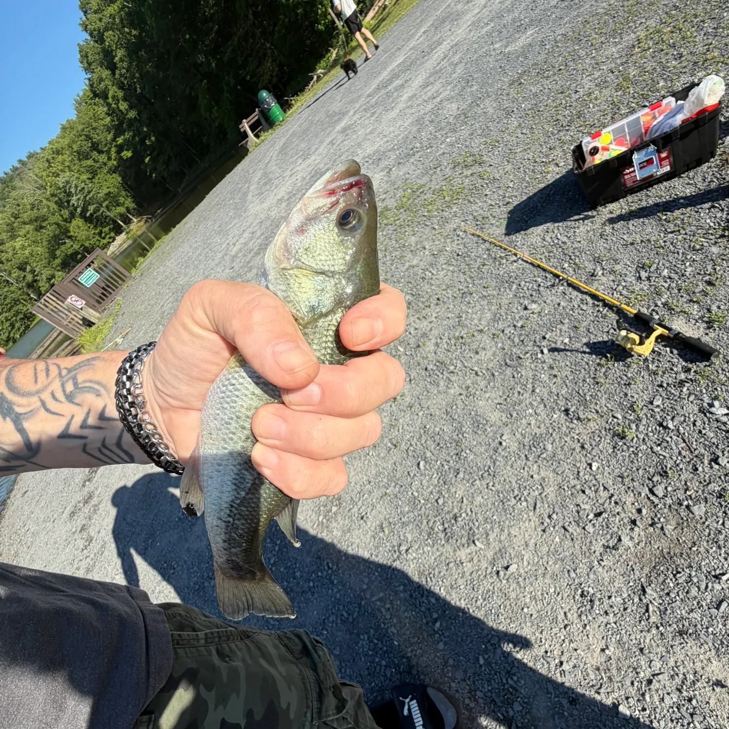 catch