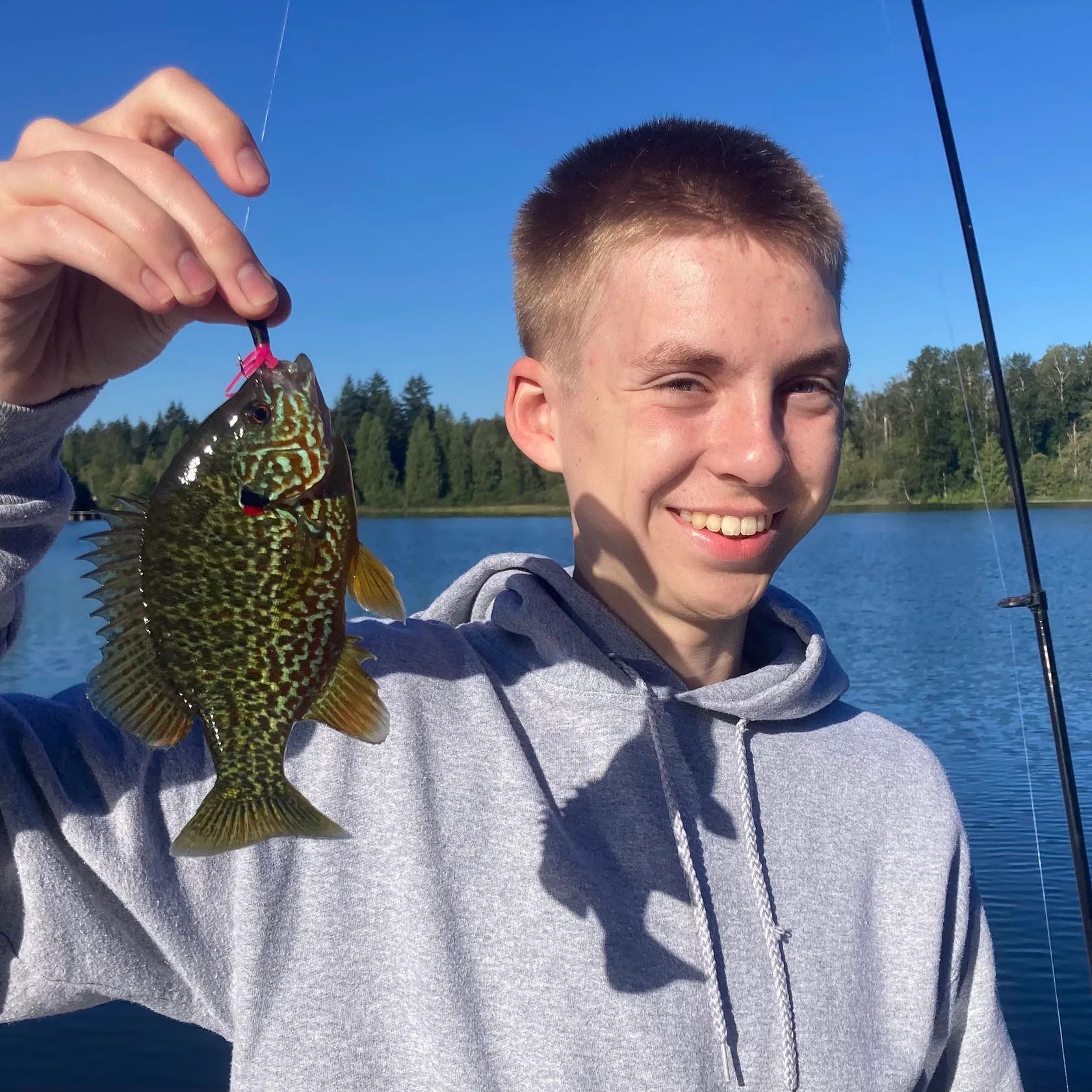 Pumpkinseed caught on Fishbrain