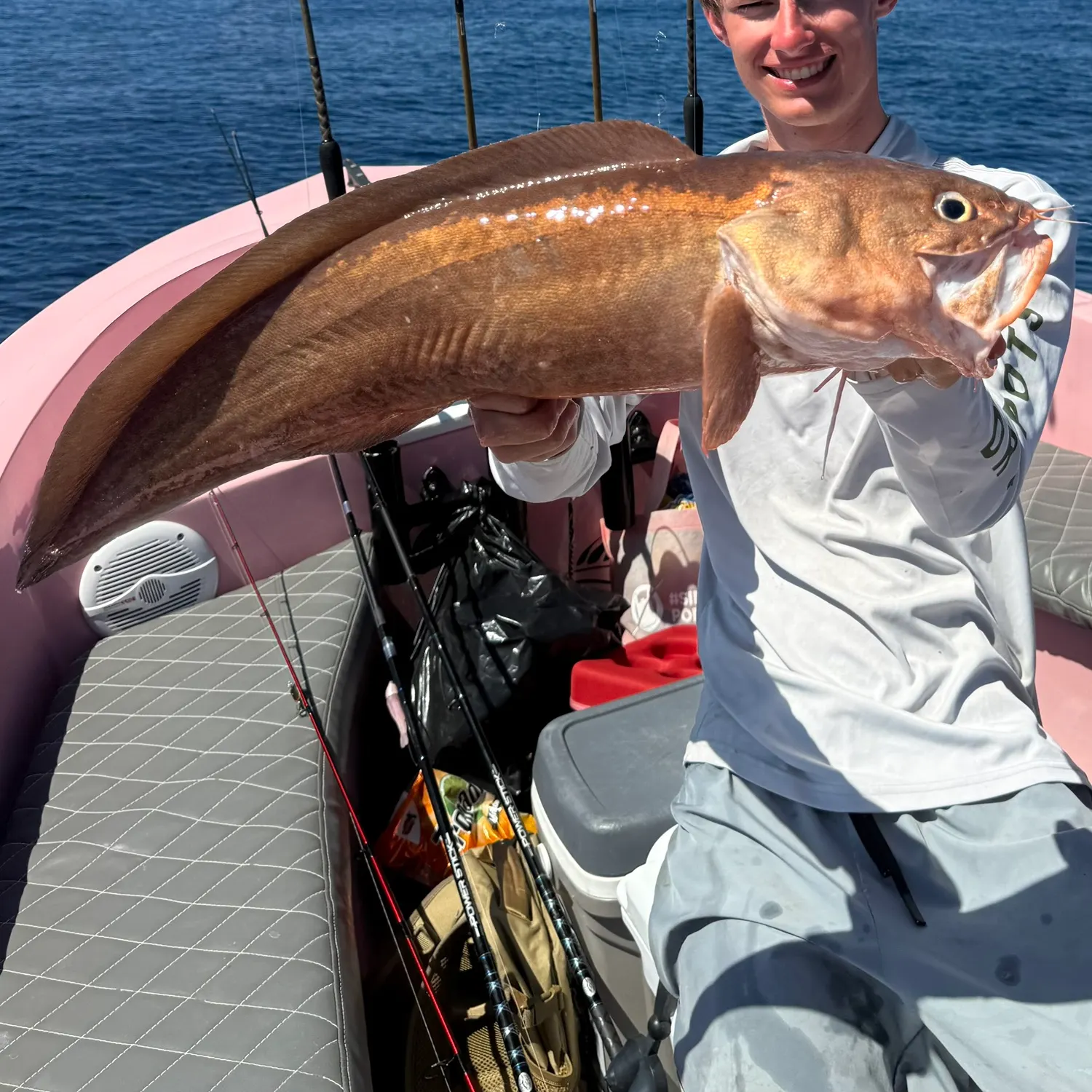 The most recent Bearded brotula catches on Fishbrain