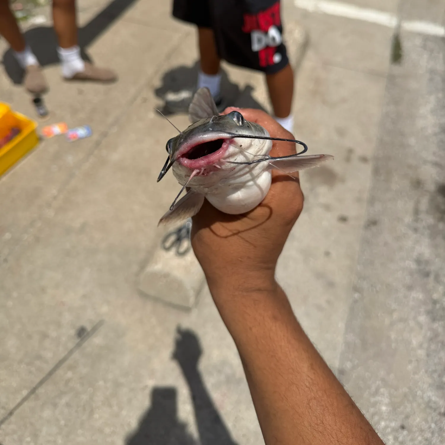 catch