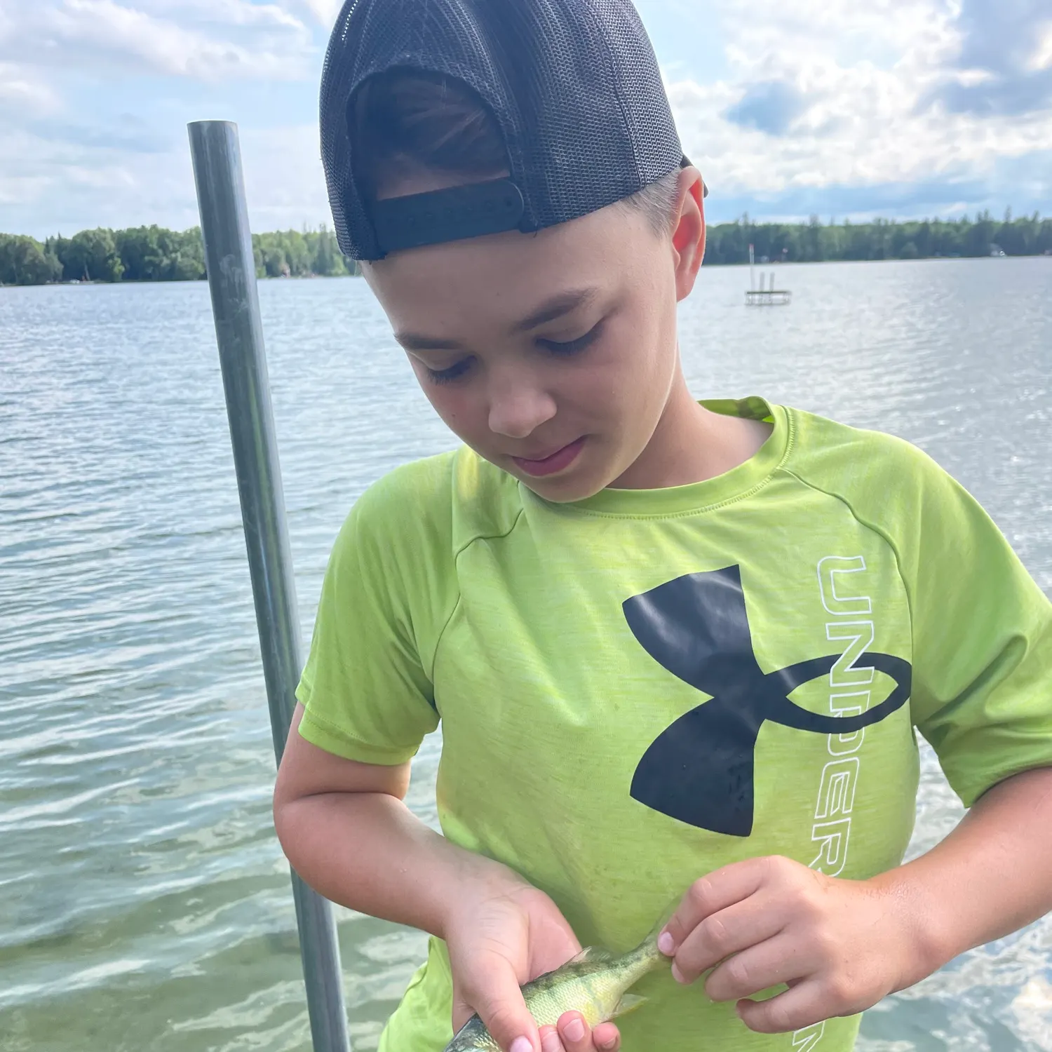 Yellow perch caught on Fishbrain