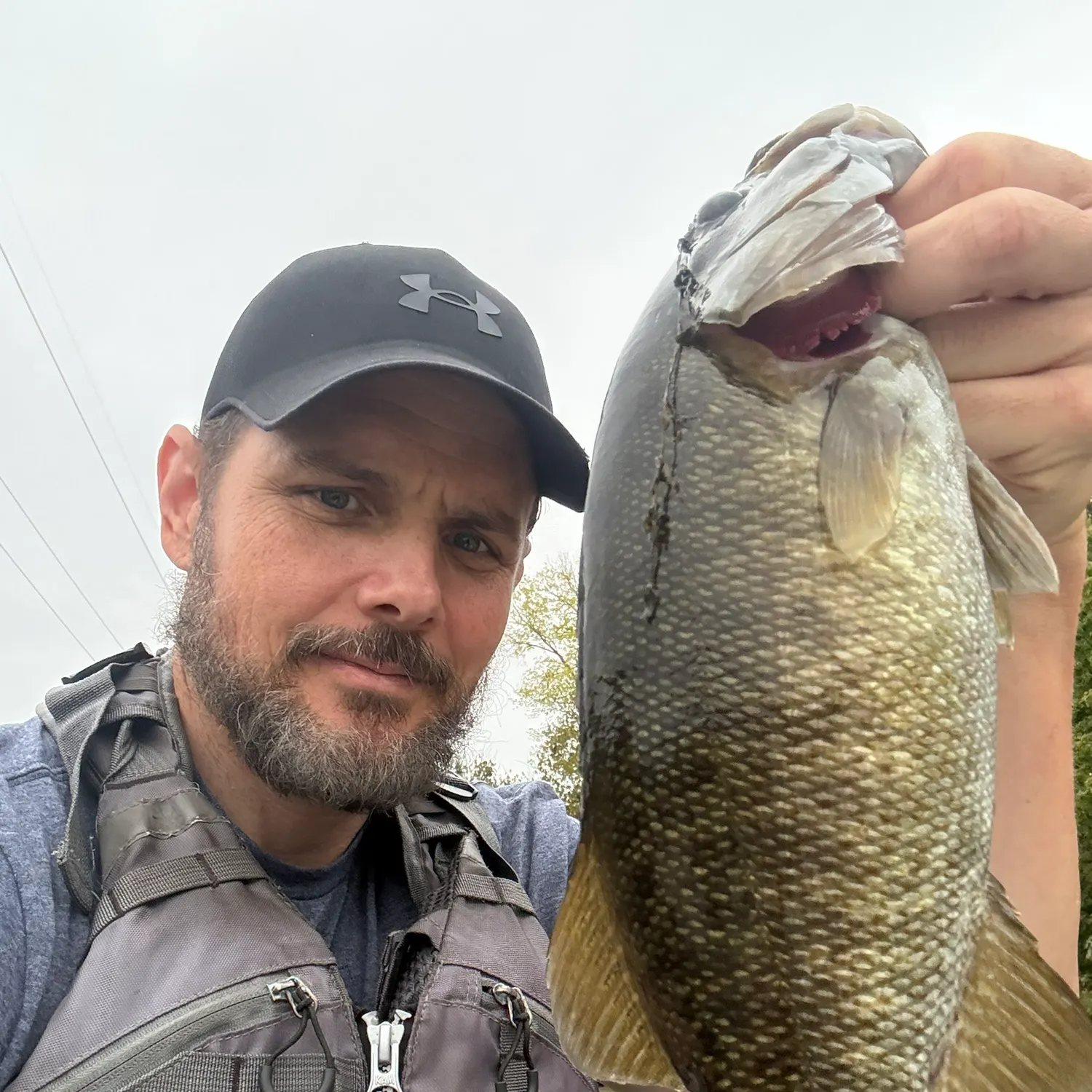 Smallmouth bass caught on Fishbrain