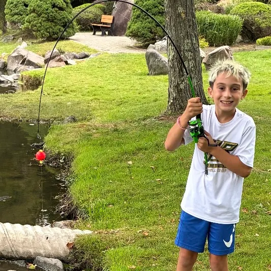 Common snapping turtle caught on Fishbrain