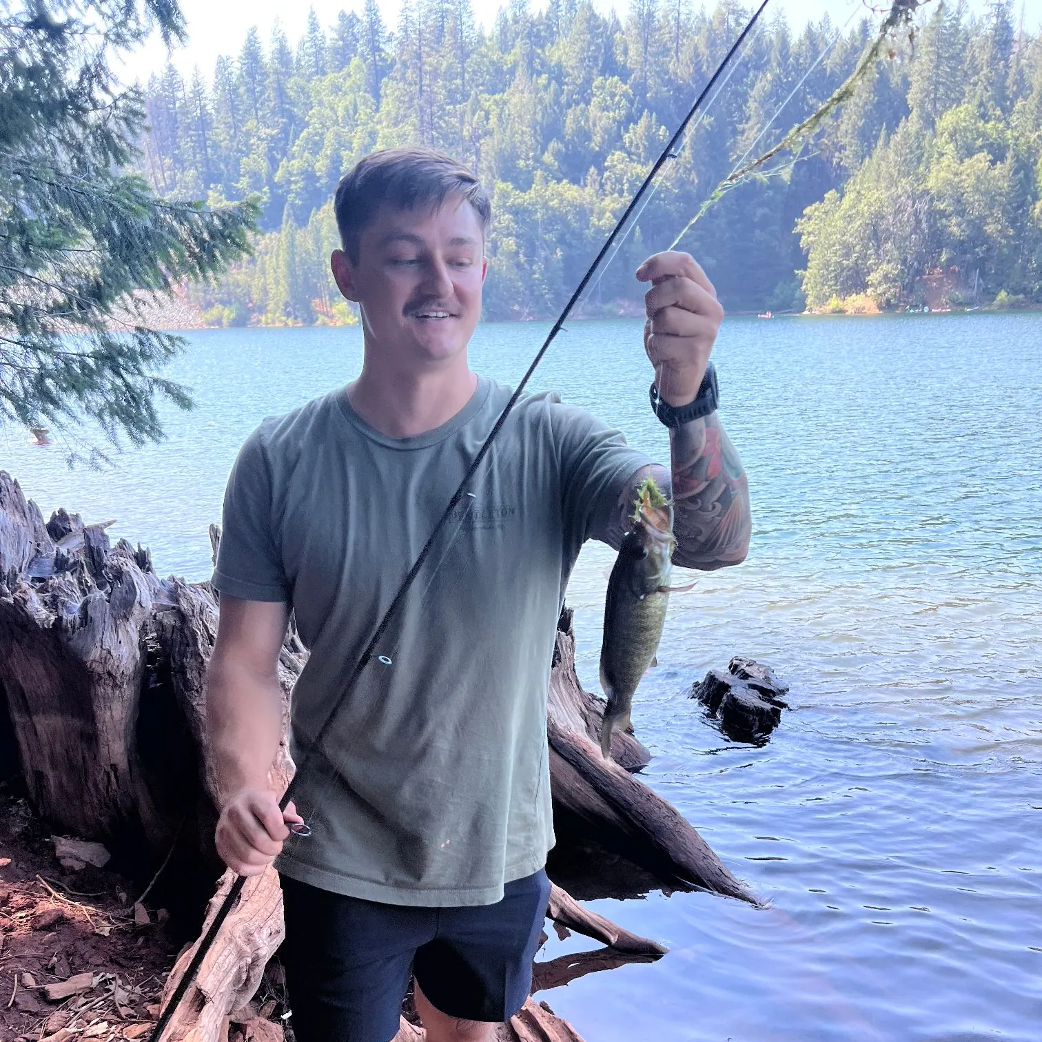 recently logged catches