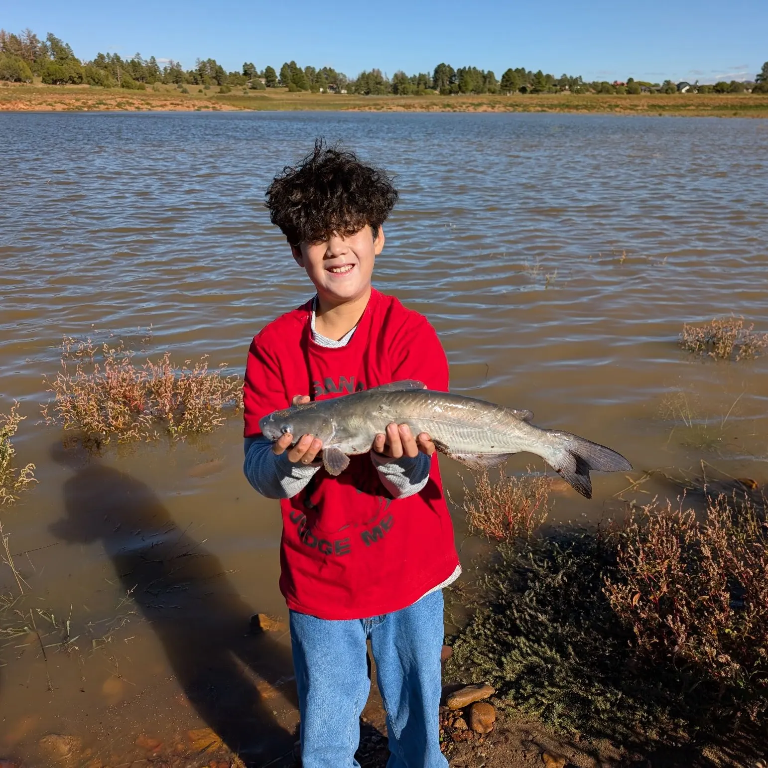 Channel catfish caught on Fishbrain