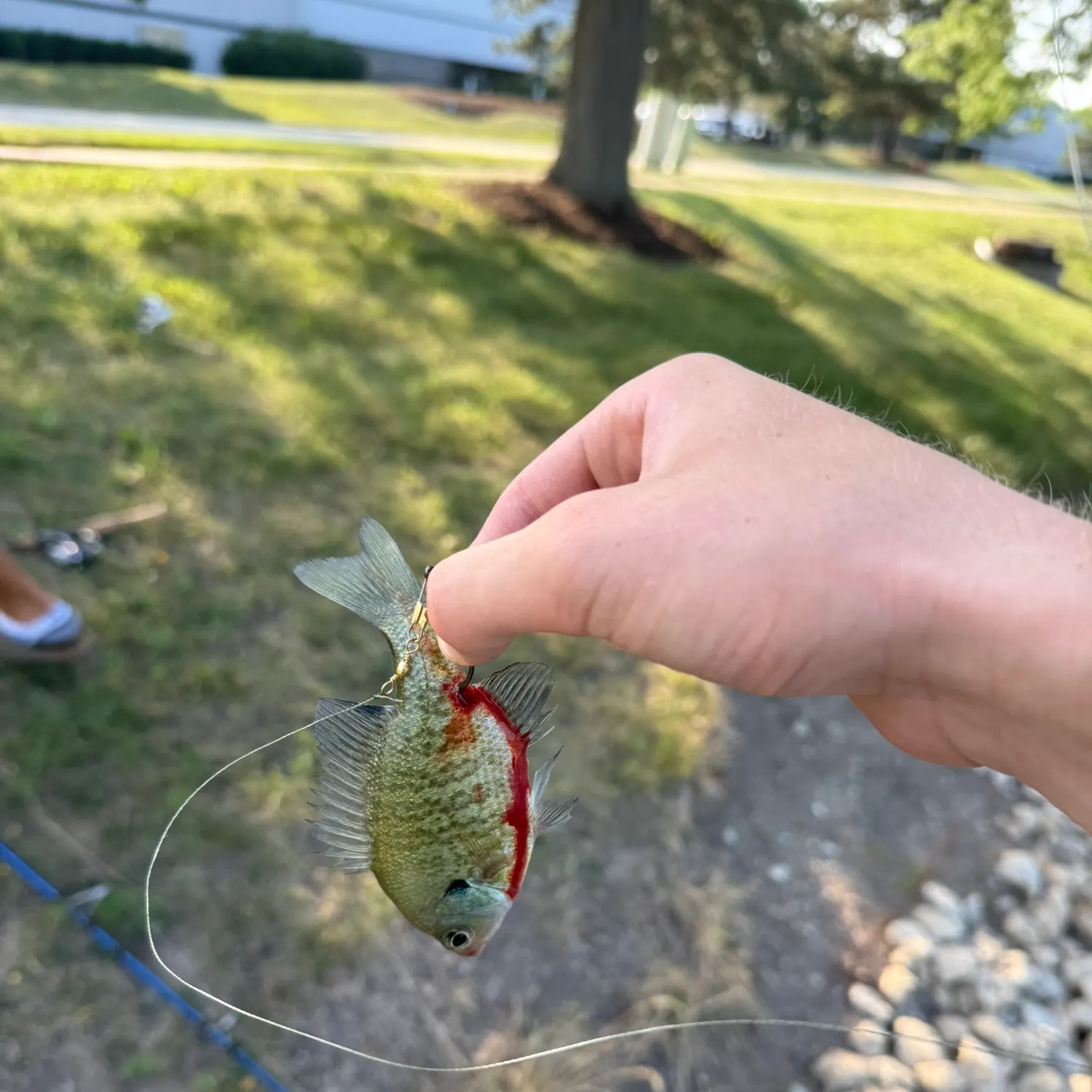 catch