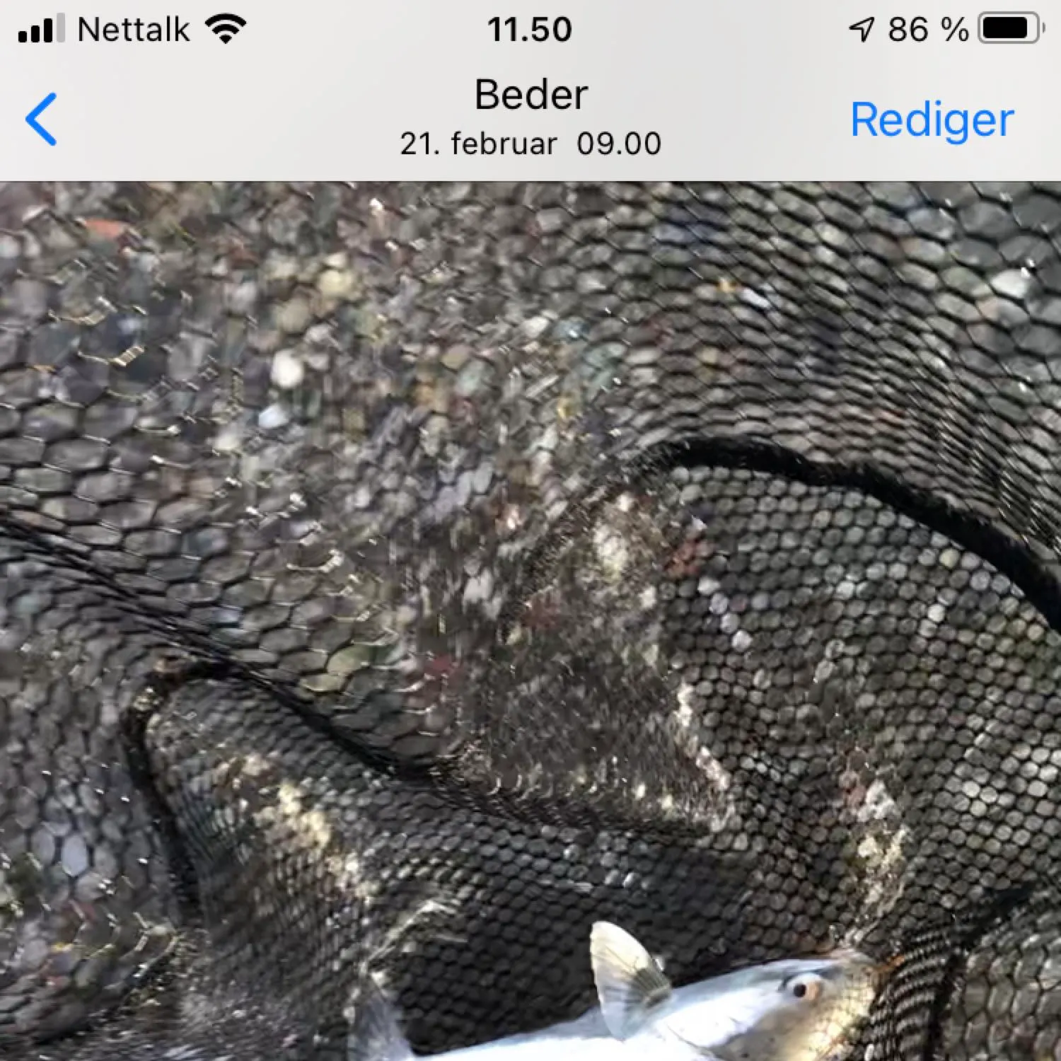 recently logged catches