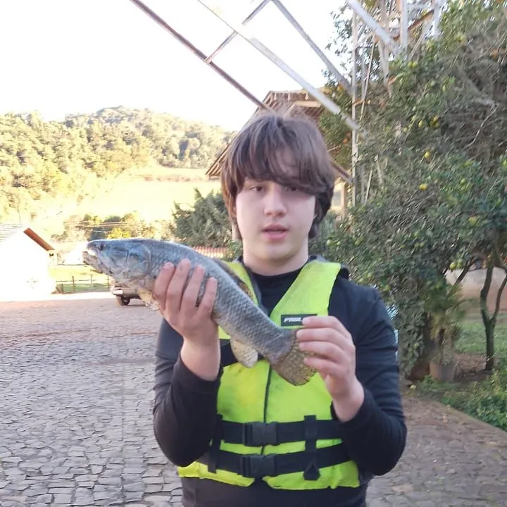 The most recent Giant trahira catches on Fishbrain