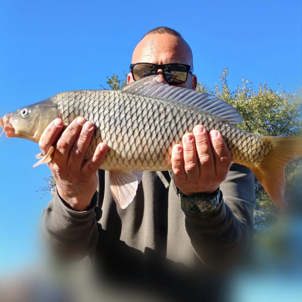 The most recent Common carp catches on Fishbrain