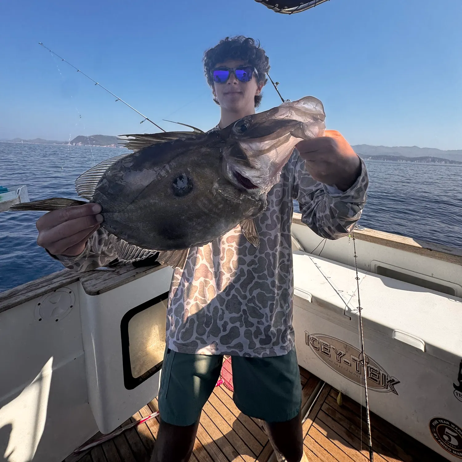 The most recent John dory catches on Fishbrain