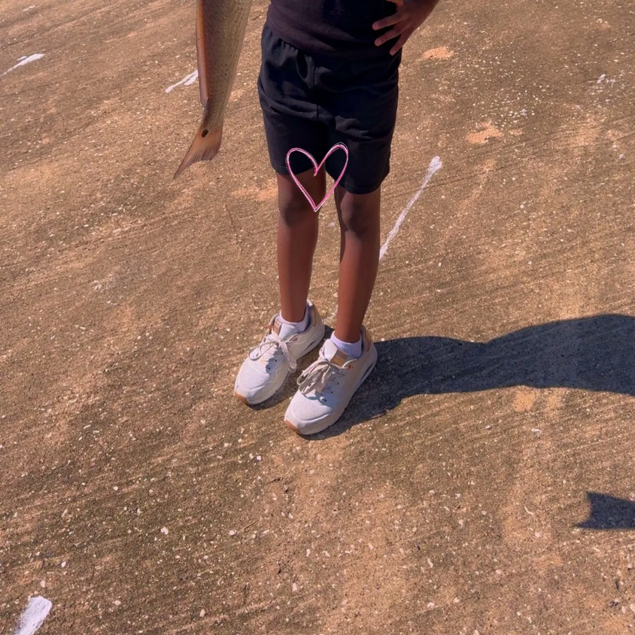 Red drum caught on Fishbrain