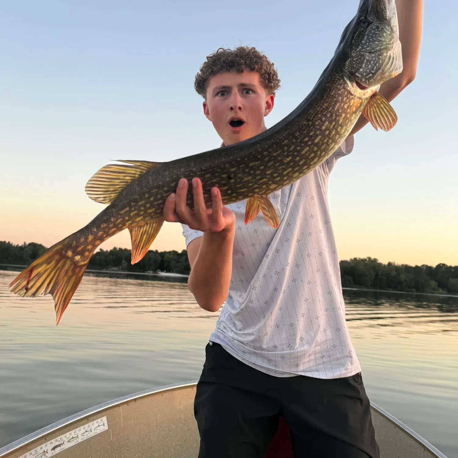 Northern pike caught on Fishbrain