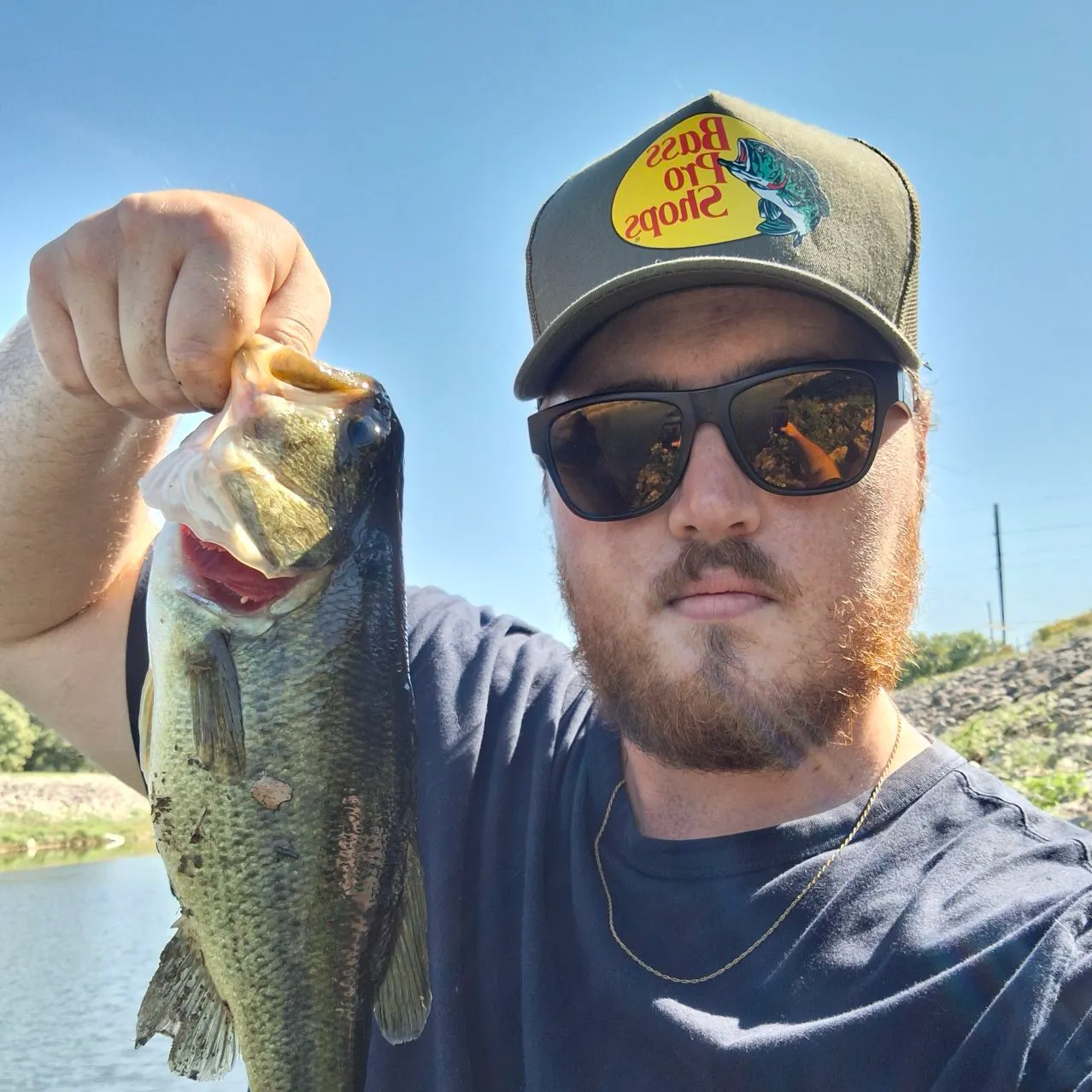 Largemouth bass caught on Fishbrain