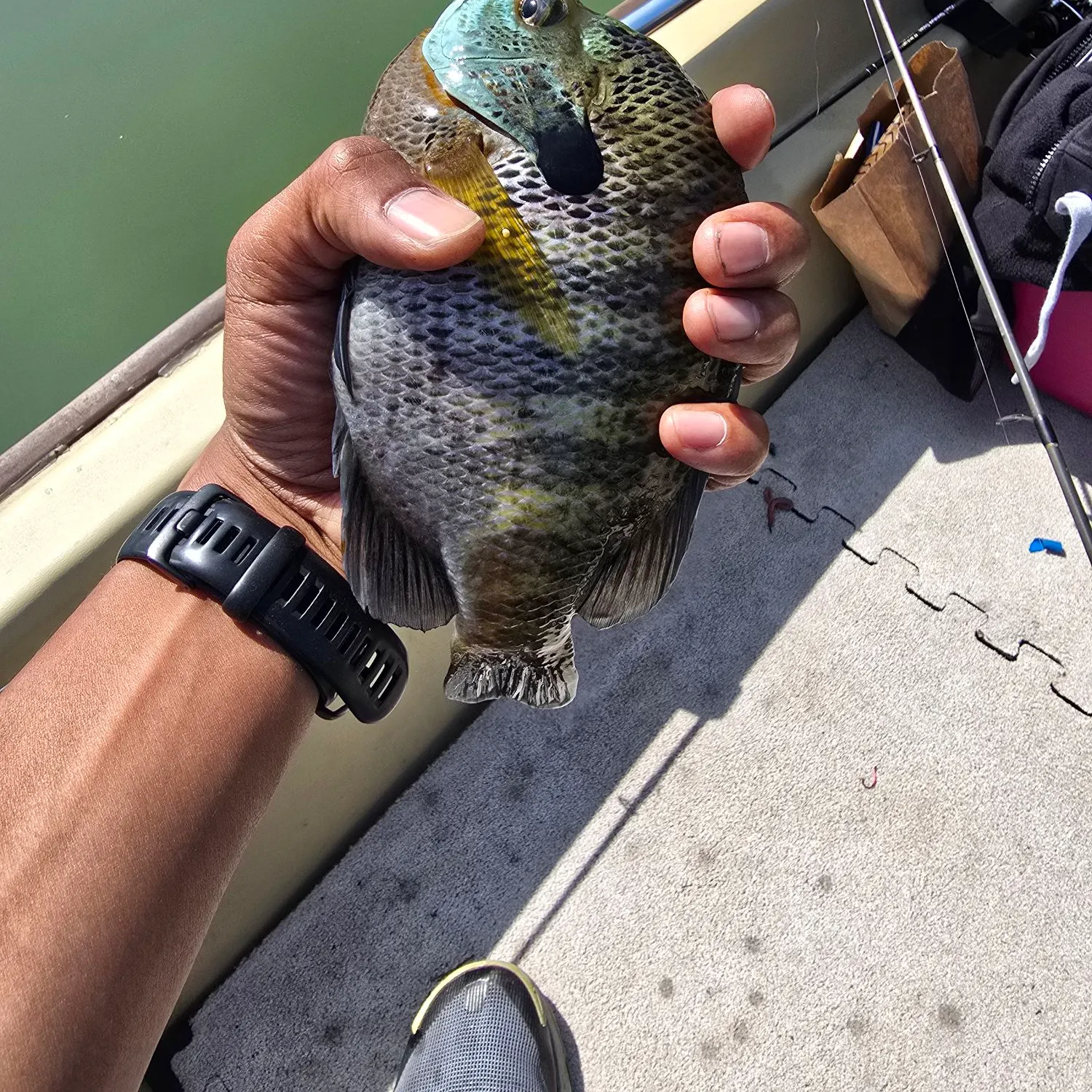 catch