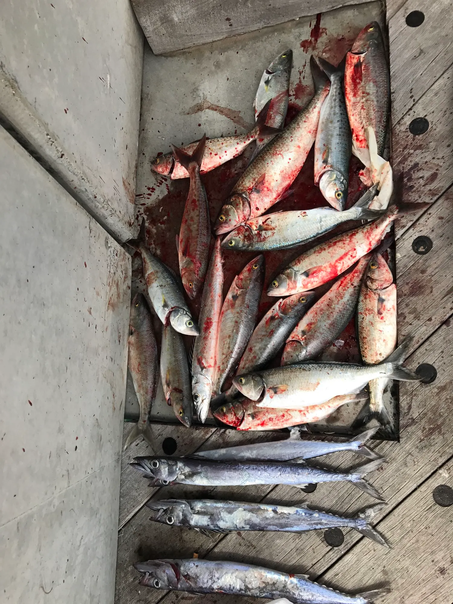 Post image from jzhao6809