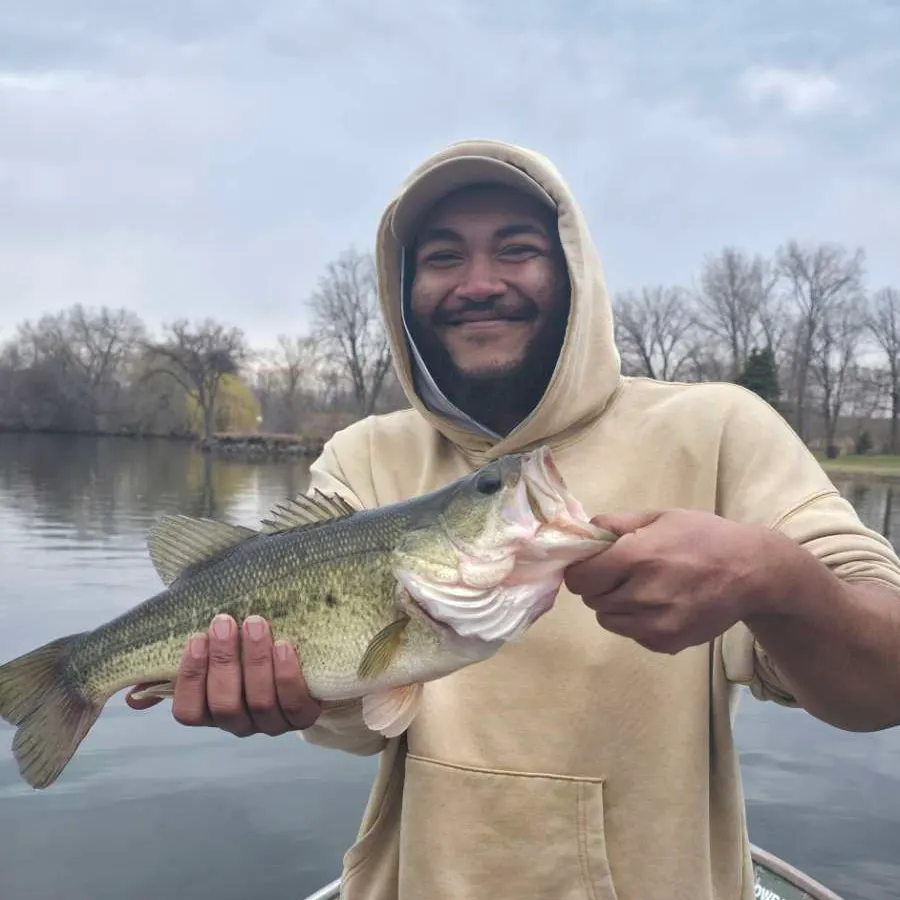 Largemouth bass caught on Fishbrain