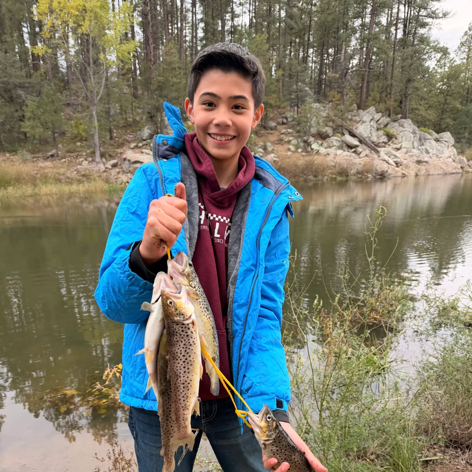 Brown trout caught on Fishbrain