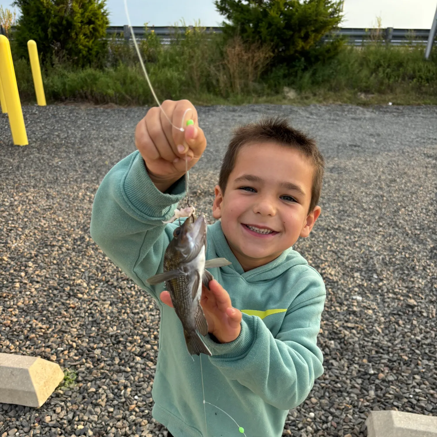 Fish caught on Fishbrain