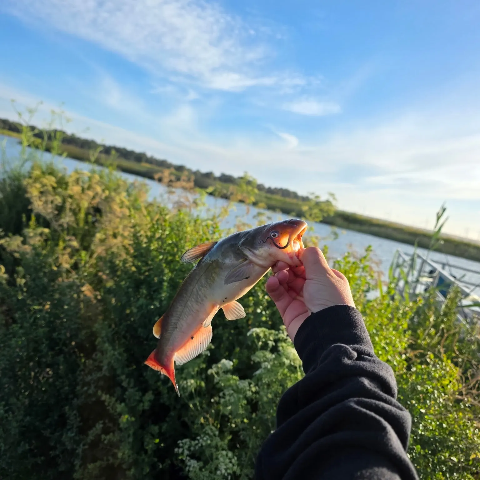 catch