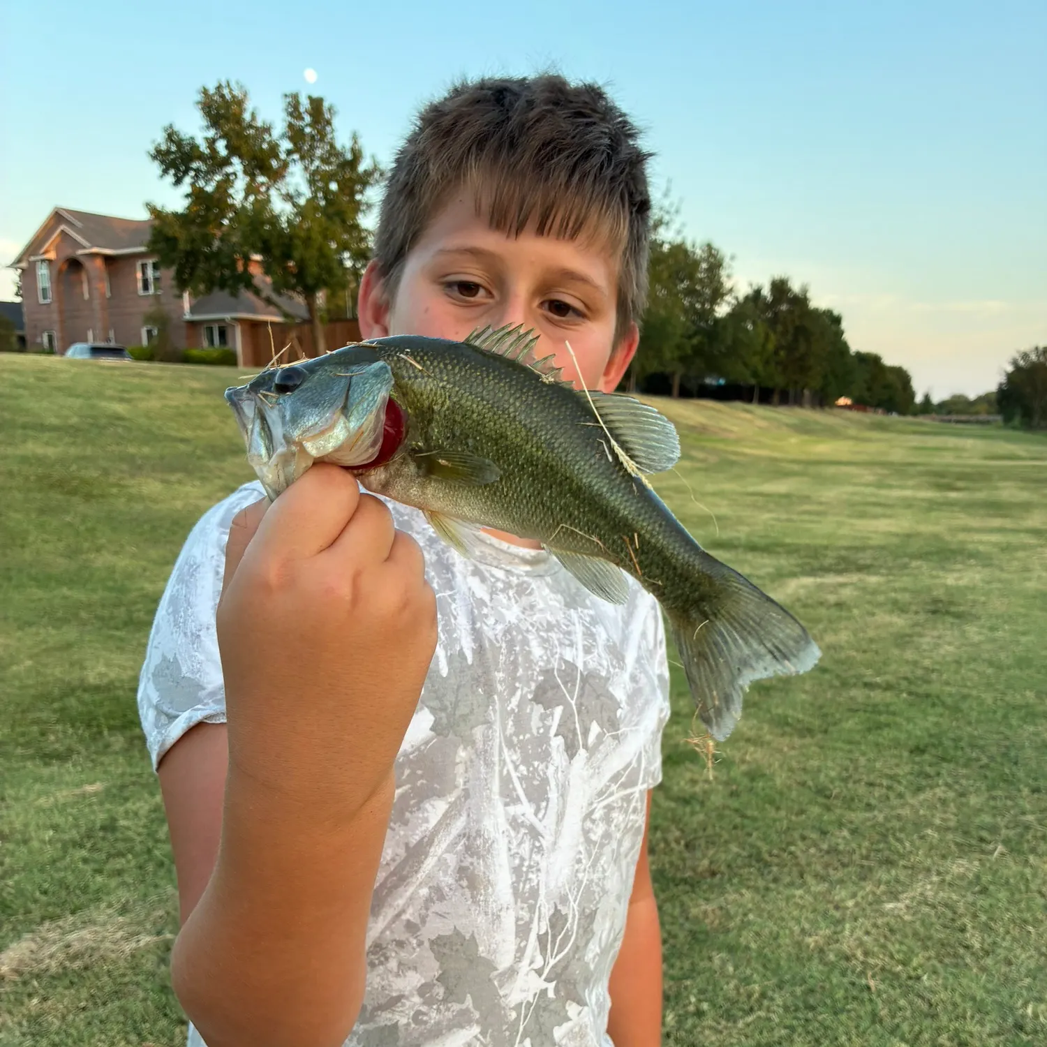 Fish caught on Fishbrain