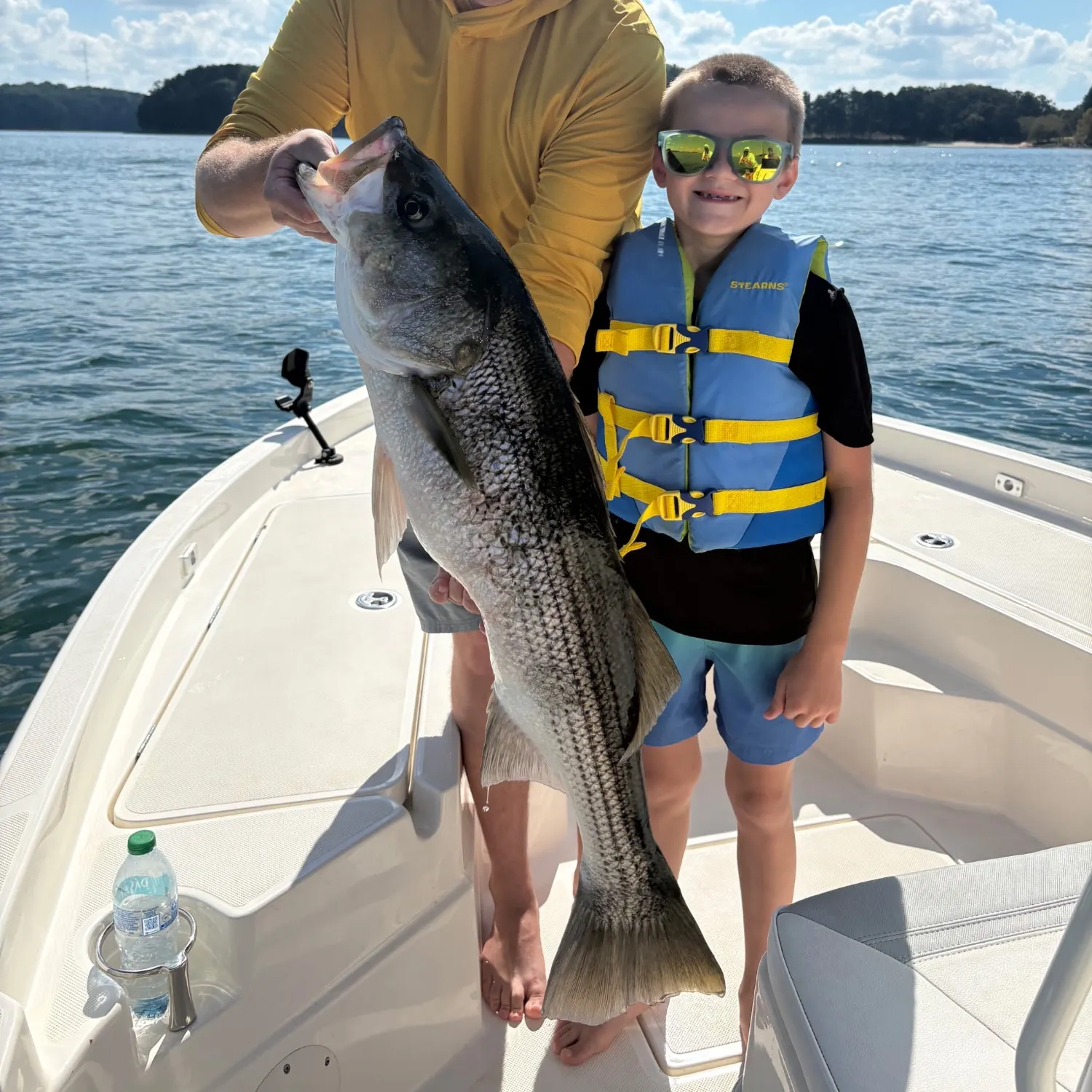 Striped bass caught on Fishbrain