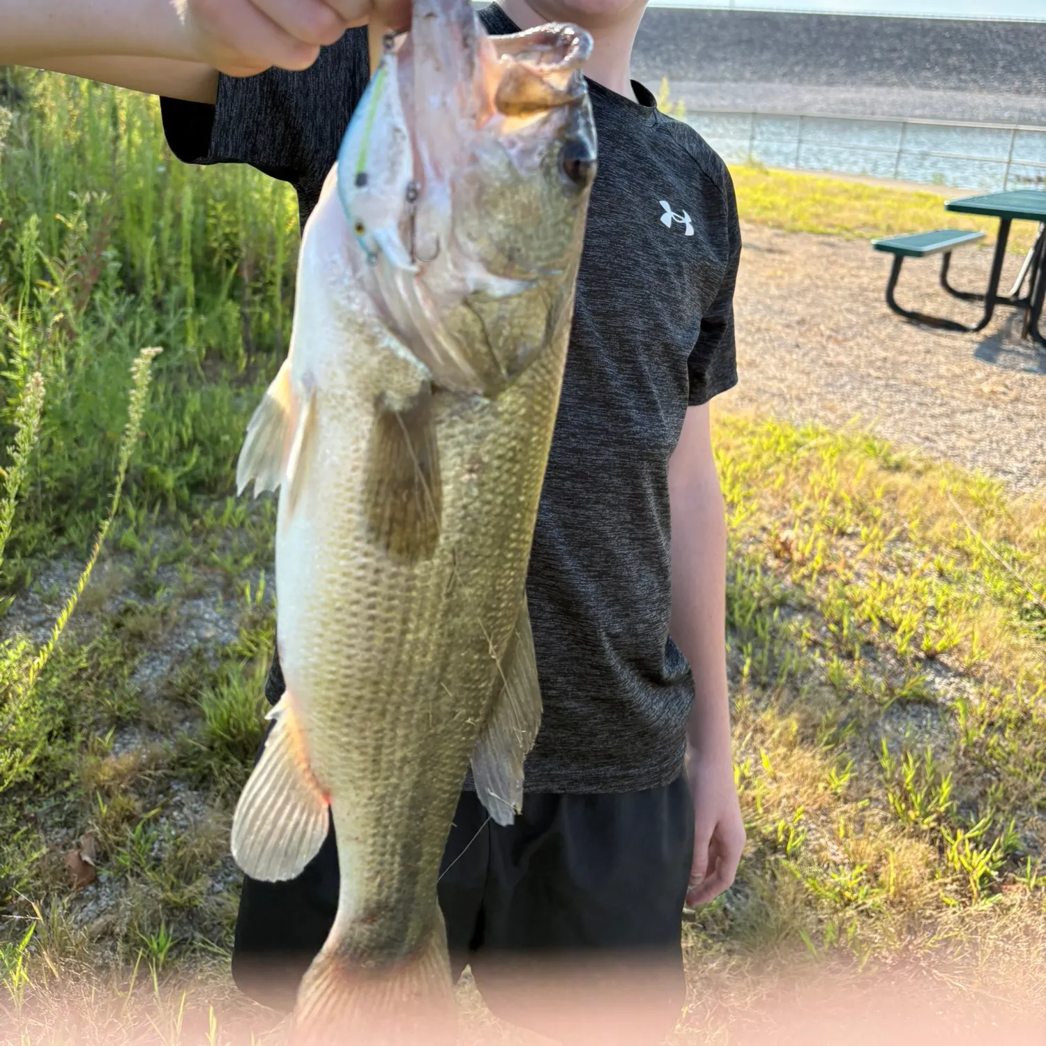 Largemouth bass caught on Fishbrain