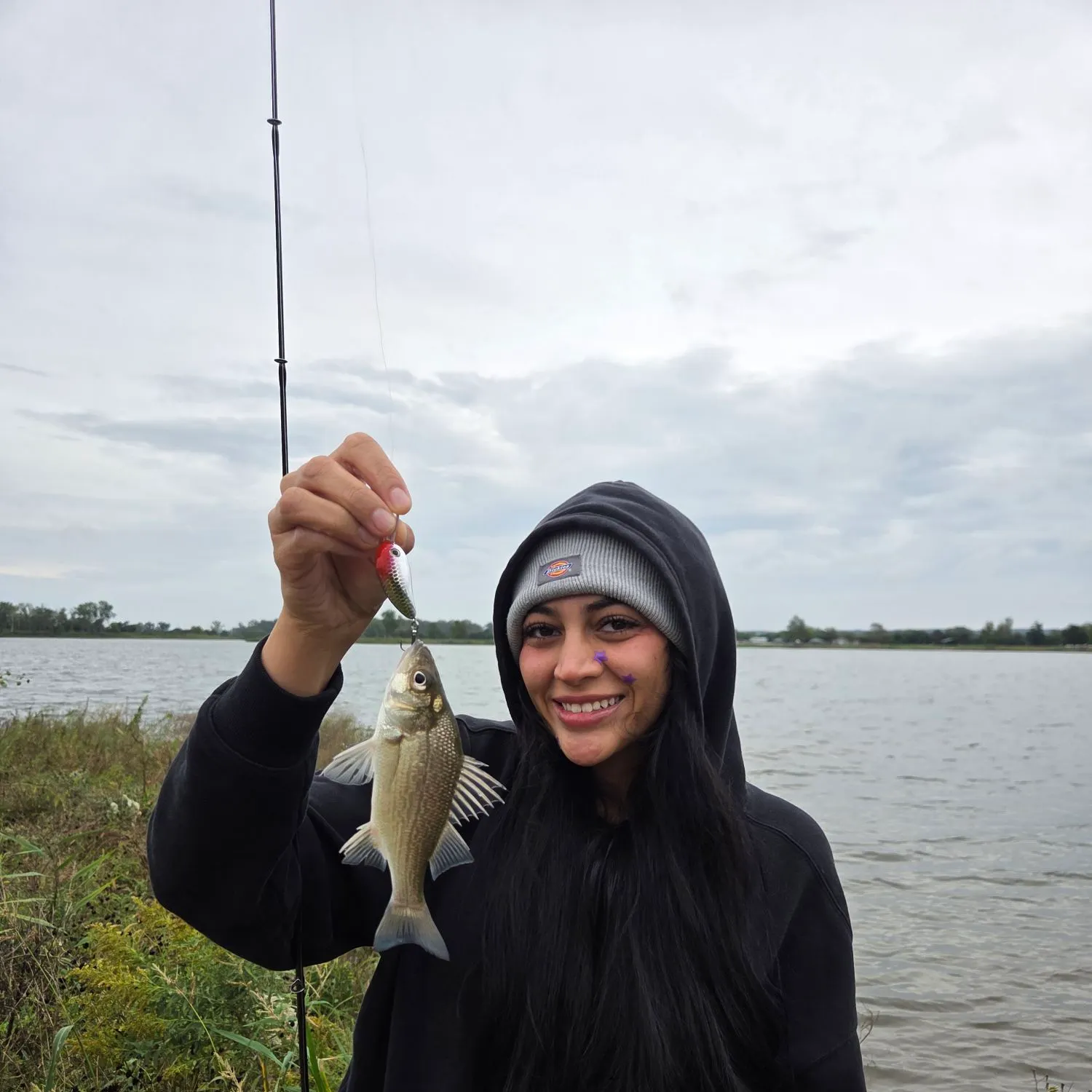 White perch caught on Fishbrain
