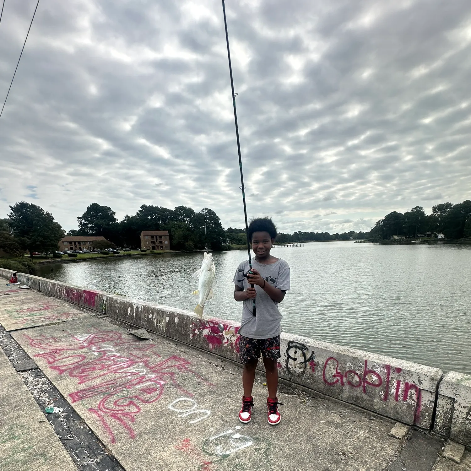 White perch caught on Fishbrain