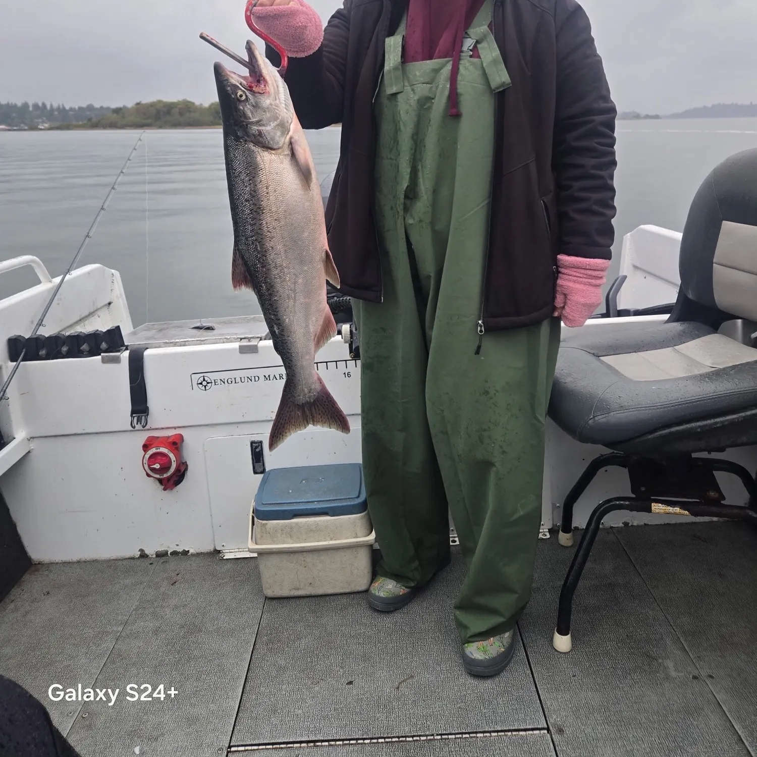 Chinook salmon caught on Fishbrain