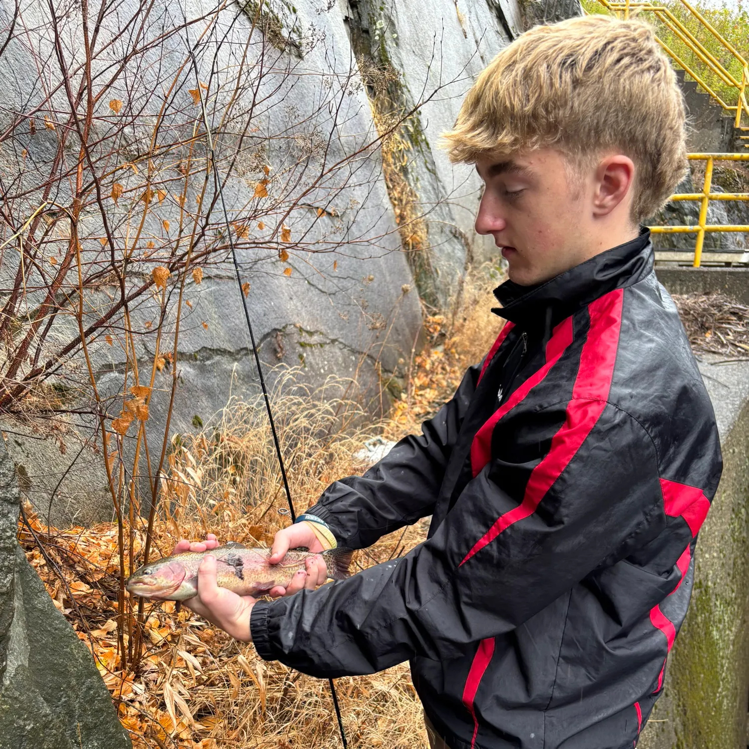 Rainbow trout caught on Fishbrain
