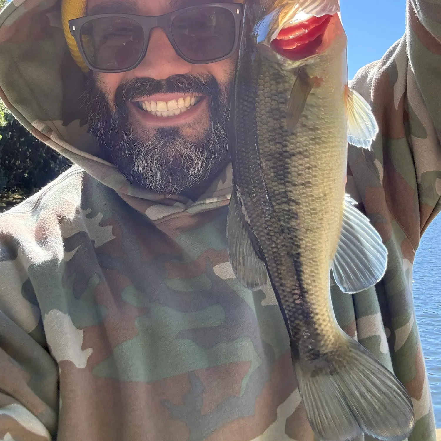 Largemouth bass caught on Fishbrain