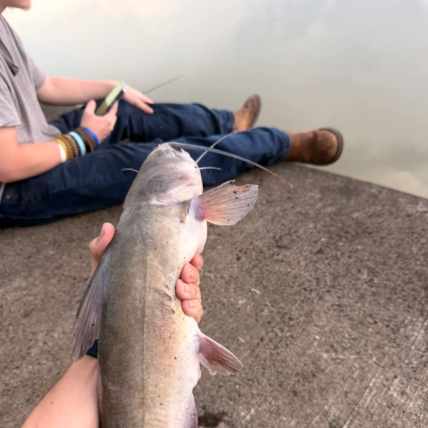 Channel catfish caught on Fishbrain