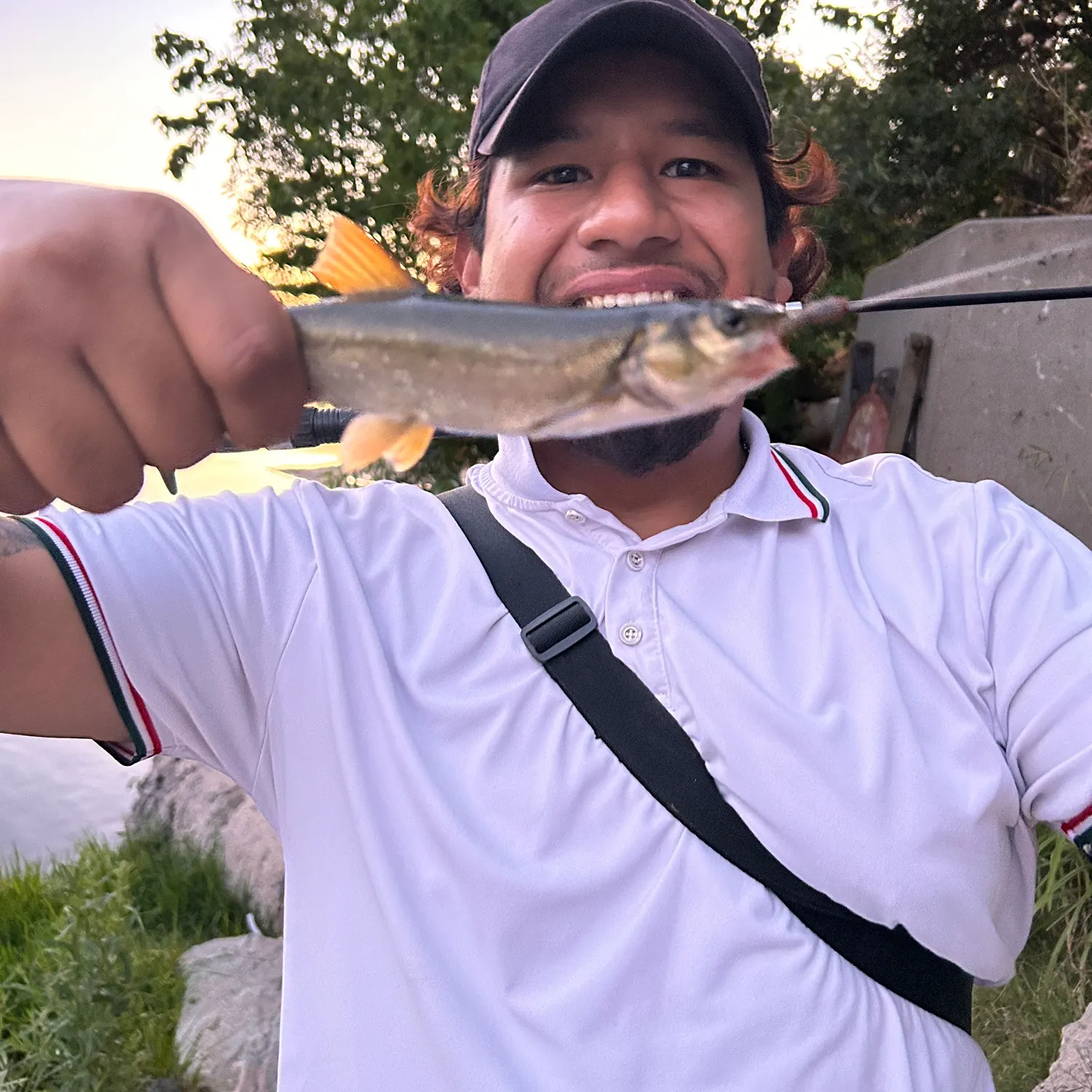 The most recent Sacramento pikeminnow catches on Fishbrain