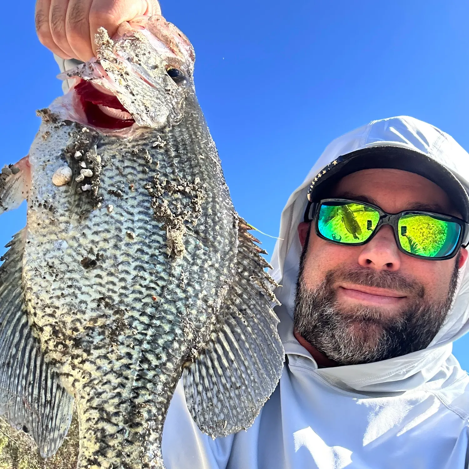 Black crappie caught on Fishbrain