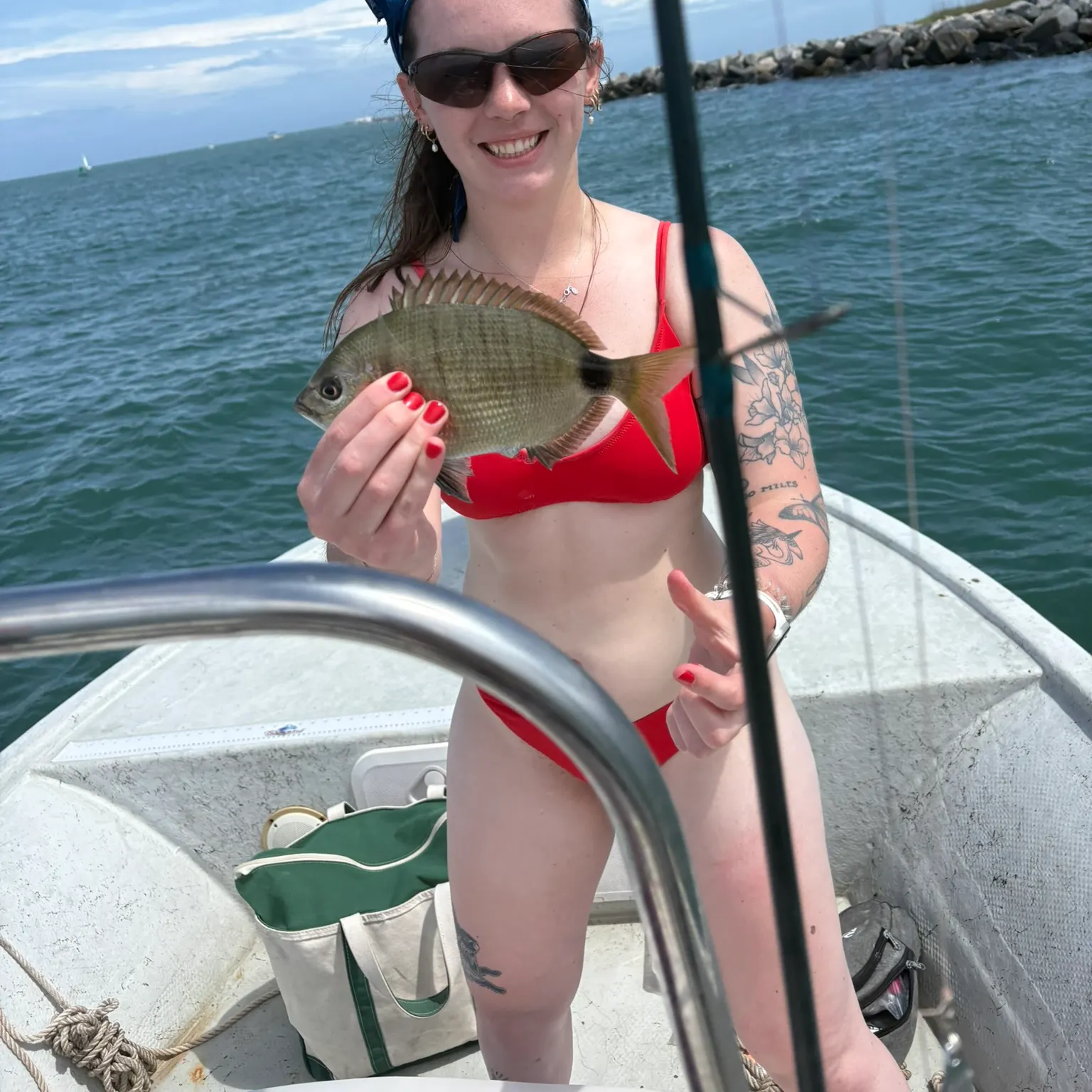 The most recent Spottail seabream catches on Fishbrain