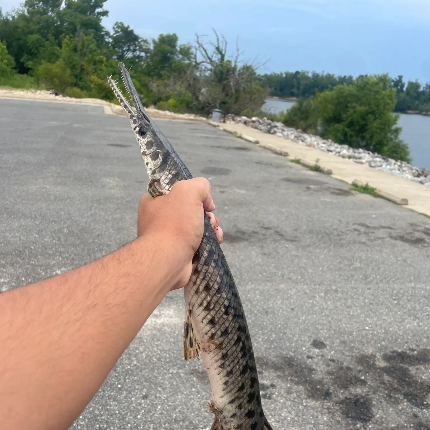 catch