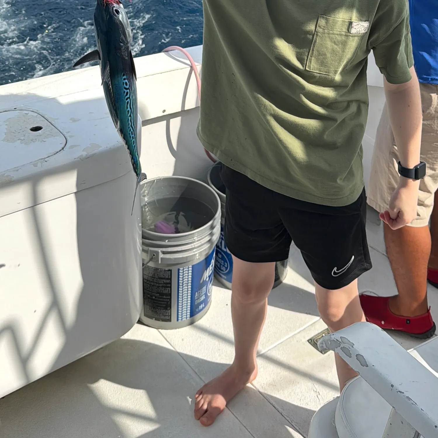 The most recent African tigerfish catches on Fishbrain