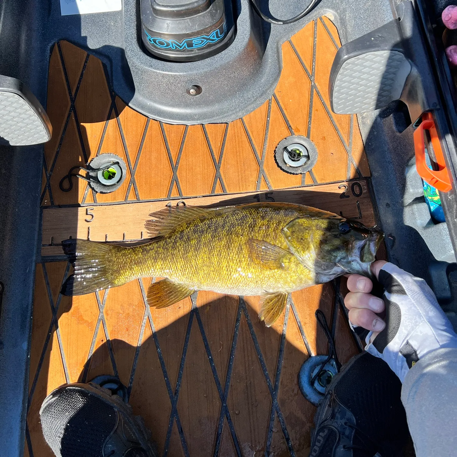 Smallmouth bass caught on Fishbrain