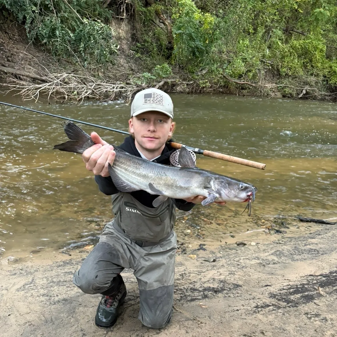 Channel catfish caught on Fishbrain