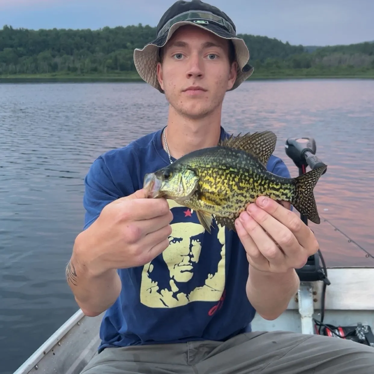 Black crappie caught on Fishbrain