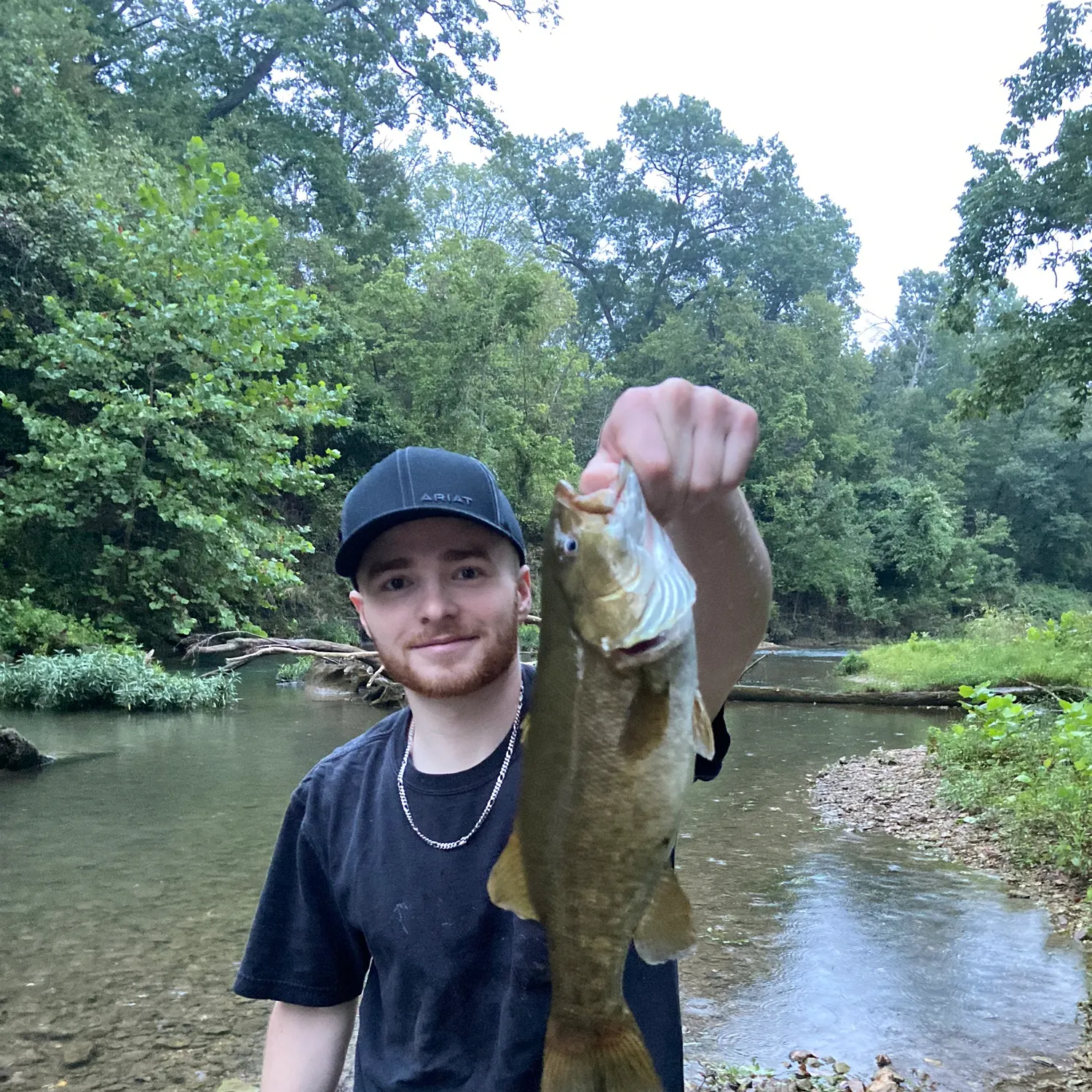 The most recent Neosho bass catches on Fishbrain