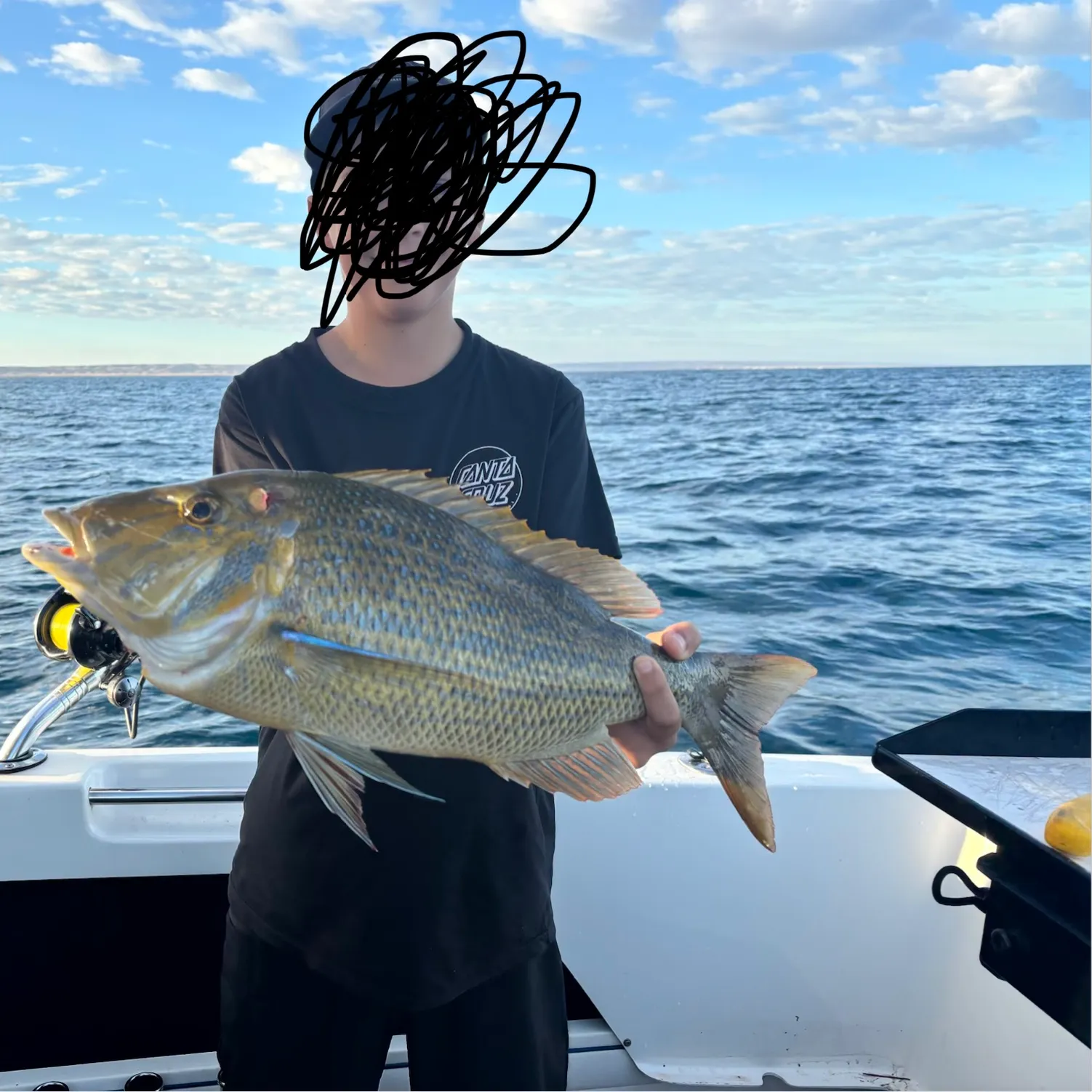 The most recent Spangled emperor catches on Fishbrain
