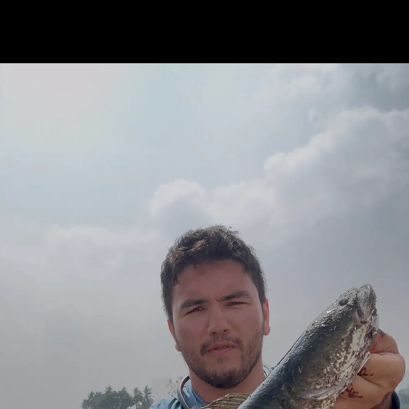 The most recent Striped snakehead catches on Fishbrain